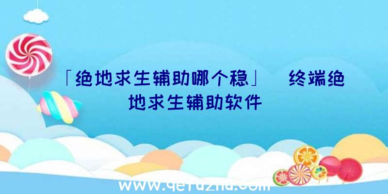 「绝地求生辅助哪个稳」|终端绝地求生辅助软件